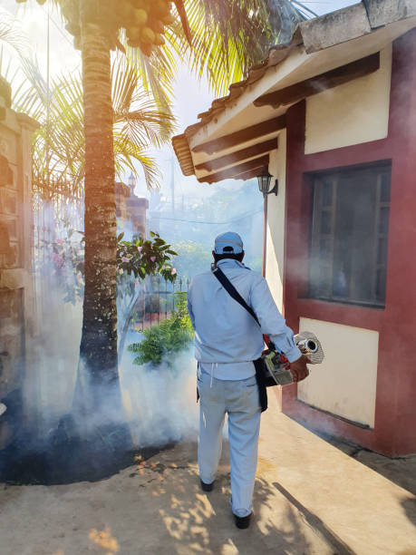 Man spread poison fog to prevent dengue virus. Fumigate insect  service