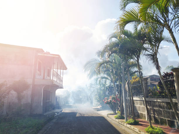 Mosquitoes disinfection on street. Toxic fogging service