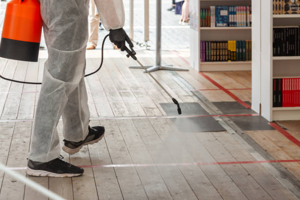 istockphoto-1250296079-612x612